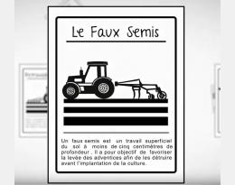 Les conditions de réussite du faux semis