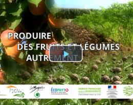 Produire des fruits et légumes autrement
