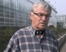 Protection biologique intégrée - tomates sous serres, comment réduire les pesticides ?