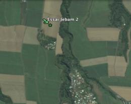 Présentation de l'essai "Couvert végétal entre deux cycles de canne"