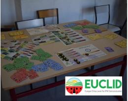 euclid ipm game
