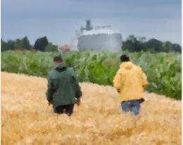 ordonnance vente conseil