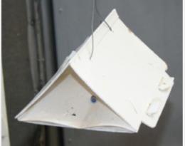 Synthèse bibliographique : les stratégies de lutte phéromonale utilisées pour contrôler la mineuse de la tomate, Tuta absoluta