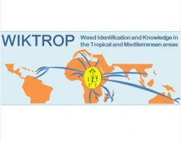 WIKTROP : Un portail pour l'identification et la connaissance des adventices tropicales et méditerranéennes