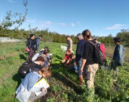 Groupe en train d'observer une planche avec mulch de broyat