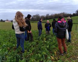 Groupe d'agriculteurs échangeant au milieu d'un couvert végétal développé 