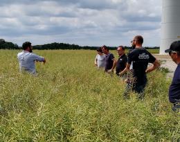 Champ de colza journée d'échange entre agriculteurs du groupe DEPHY