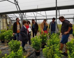 Rencontre entre producteurs du réseau accompagnés par une conseillère technique. 