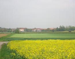Paysage secteur avec village en arrière plan et cultures devant