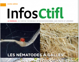 InfosCtifl-HSnematode