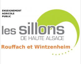 Logo EPLEFPA Les Sillons de Haute Alsace