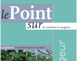 PSPuceronsFraisier2014