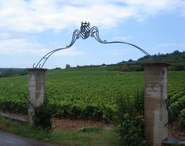 alternatives au glyphosate