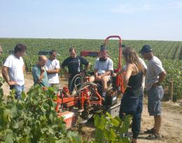 Discussion animée sur les stratégies d'entretien du sol et le choix des densités de plantation entre les membres du groupe