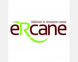 eRcane