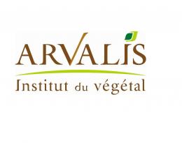 Arvalis