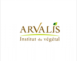 Logo Arvalis