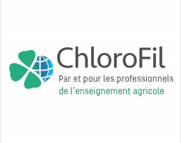 ChloroFil
