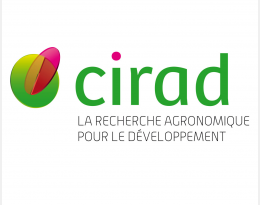cirad