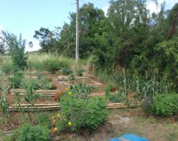 Système Agro-écologique