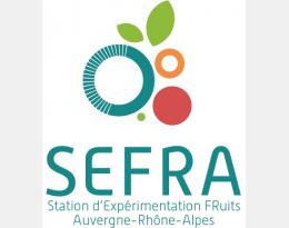 Logo Sefra