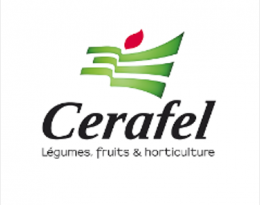 cerafel