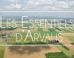 Comment lutter contre les insectes au cours du stockage ?