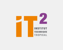 logo_it2