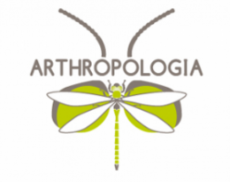 logo arthropologia