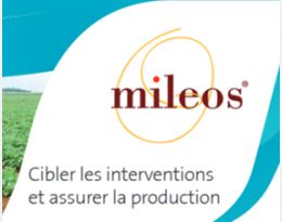 MILEOS ® : Votre partenaire quotidien anti-mildiou de la pomme de terre