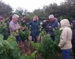 Journée Technique "Les couverts temporaires en viticulture"
