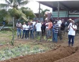 Groupe DEPHY FERME LEGUME MARTINIQUE 