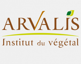 Logo Arvalis
