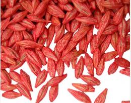 Une protection toujours d’actualité