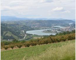 conclusion surveillance