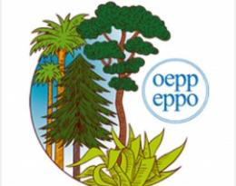 Organisation Européenne et Méditerranéenne pour la Protection des Plantes (OEPP)