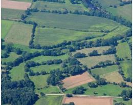 La structure du paysage, alliée de la lutte naturelle contre les ravageurs