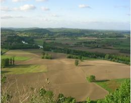 paysage grandes cultures