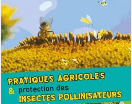 pollinisateurs poitou charentes