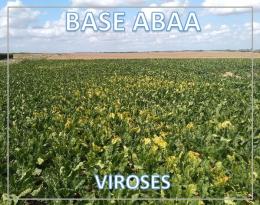 abaa viroses