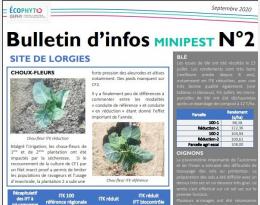 Bulletin d'information MiniPest n°2 Septembre 2020