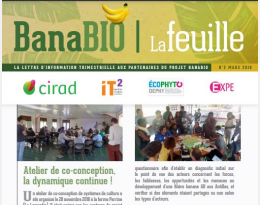 Banabio - Lettre d'information n°2 Mars 2019