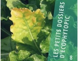 dossier néonicotinoïdes