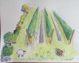 dessin du dispositif