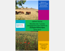 Résultats Dephy AURA