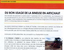 bineuses en artichaut