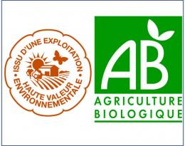 exemption conseil stratégique