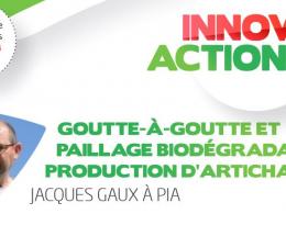 goutte à goutte et paillage biodegradable