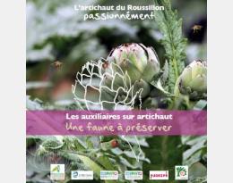 les auxiliaires de l'artichaut