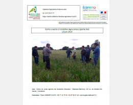 agriculteurs dans un champ